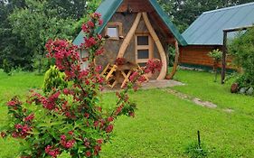 Gazela Bungalov 1